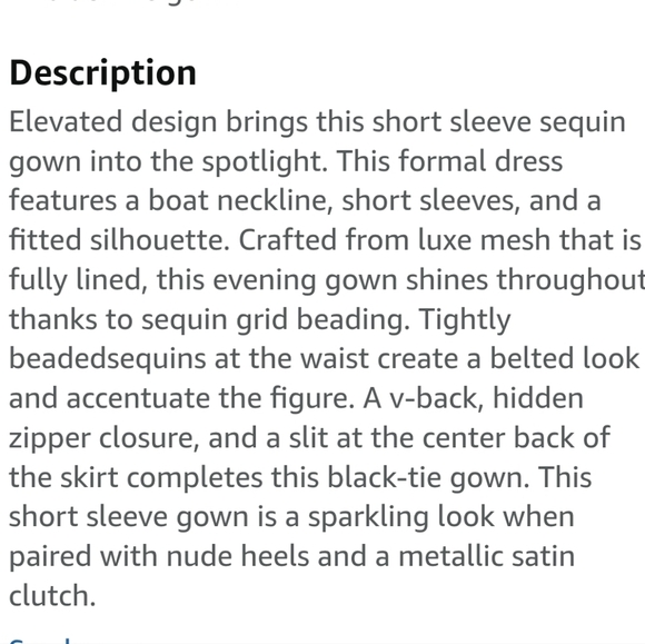 Nwot Adrianna Pappel Shortsleeve Silver Sequin Luxe Mesh/Tan Column Form… - Picture 17 of 17